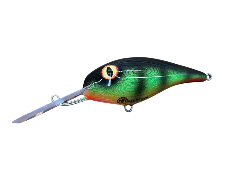 OKOŃ